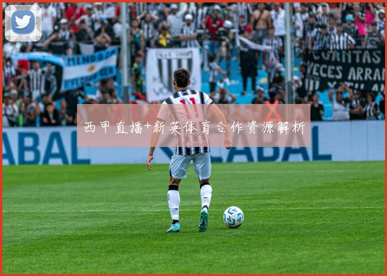 西甲直播+新英体育合作资源解析