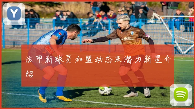 法甲新球员加盟动态及潜力新星介绍