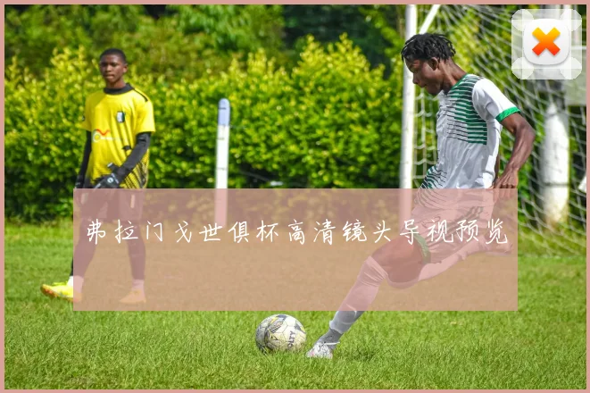 弗拉门戈世俱杯高清镜头导视预览