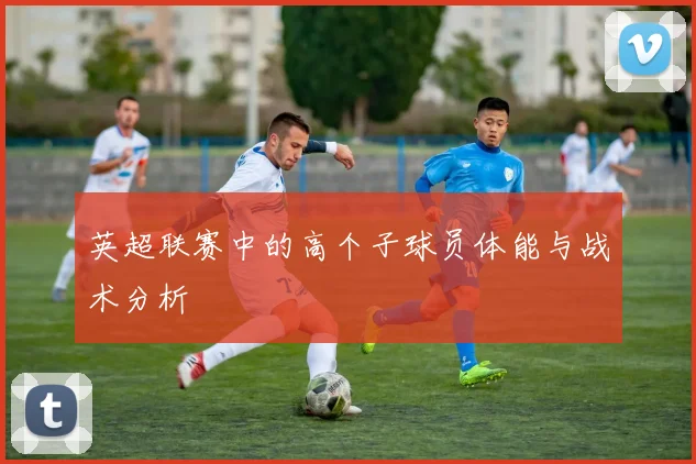 英超联赛中的高个子球员体能与战术分析