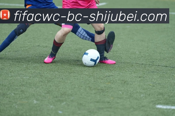 世界杯直播APP 高清赛事图