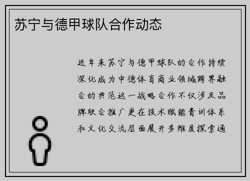 苏宁与德甲球队合作动态