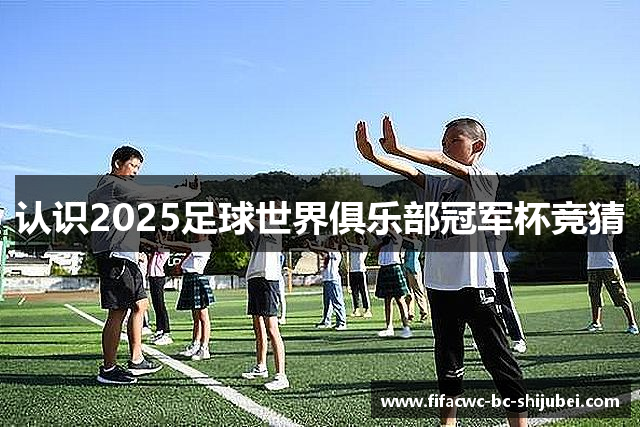 认识2025足球世界俱乐部冠军杯竞猜